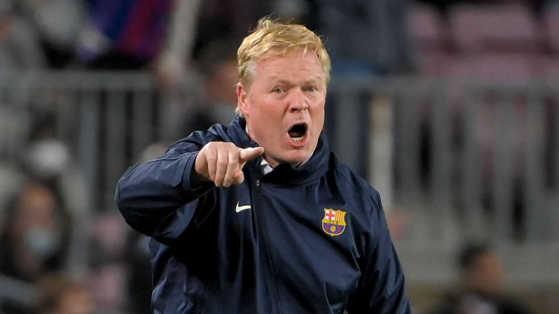 将是一次宝 将是一次宝